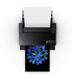 Epson SureColor SC-P903 A2 - 17'' Photo Printer