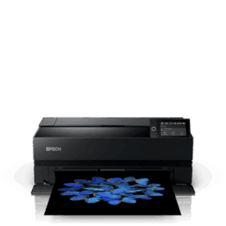 Epson SureColor SC-P903 A2 - 17'' Photo Printer